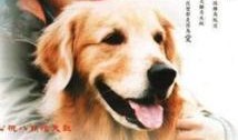 米可go在线观看,跟随米可探索未知世界的在线之旅