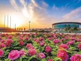 洛阳植物园爆料案件最新,惊现神秘盗窃案，真相即将揭晓
