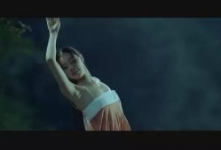 猛难诞生记在线观看中,在线观看，揭秘动物世界的生存奇迹