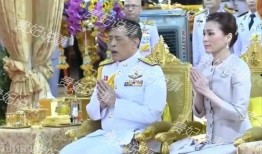 贵妃吃瓜小说免费阅读,宫廷秘闻里的瓜田传奇