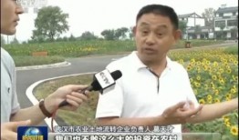 快乐吃瓜娱乐新闻视频在线观看,热门吃瓜娱乐新闻视频在线观看指南