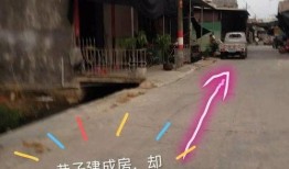 鱼塘爆料大全视频最新版,揭秘娱乐圈最新动态与幕后故事