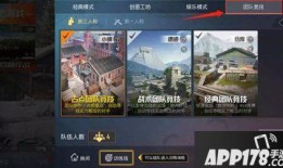 和平精英最新爆料空投,神秘空投降临，揭秘全新游戏玩法与战术策略