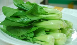 青菜爆料视频大全图片高清