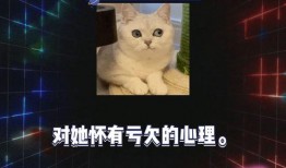 娱乐圈吃瓜爆料游戏教程,揭秘明星幕后故事，轻松上手成为“瓜王”