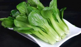 青菜爆料视频大全图片高清