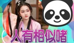 娱乐大瓜爆料小说推荐