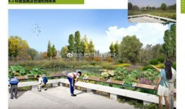 安徽公园爆料视频大全,揭秘公园里的那些事儿