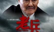 电视剧老兵在线观看,烽火岁月里的英雄传奇