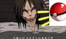 晓蛇爆料视频大全集播放