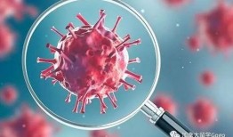 最新爆料新冠病毒,揭秘神秘变异株的传播与防控挑战