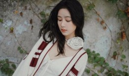 杨紫谭松韵最新粉丝爆料,最新动态揭秘，精彩瞬间引关注