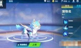 qq飞车新宠物爆料最新