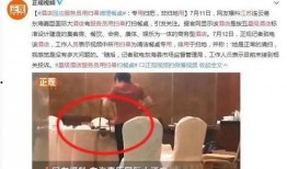 酒店最新爆料视频,最新爆料视频带你探秘幕后真相
