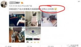 出轨吃瓜事件网红视频,网红视频揭秘娱乐圈秘闻