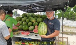 潮汕网红吃瓜事件真相视频,揭秘真相背后的惊人内幕