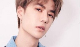 嘴哥爆料刘宪华视频全集,精彩瞬间与幕后故事大公开