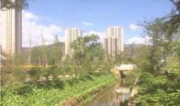 安徽公园爆料视频大全,揭秘公园里的那些事儿