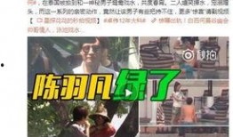 七仔粉丝爆料事件视频大全,揭秘明星幕后故事