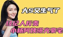 小杨爆料大招视频大全最新,大招视频大全，一网打尽最新技巧与策略