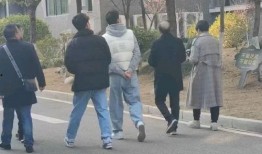 网红吃瓜事件群,揭秘网络舆论背后的真相与争议