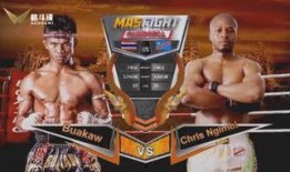 最新拳击爆料新闻视频,揭秘赛场背后惊人内幕！