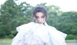 张馨予圈内爆料,一场惊心动魄的爆料风暴