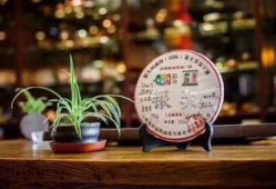 糟茶爆料最新视频大全集,最新视频大全集精彩回顾