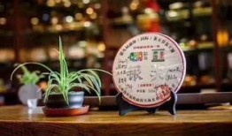 糟茶爆料最新视频大全集,最新视频大全集精彩回顾