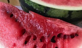 平顶山新瓜最新爆料,揭秘背后惊人真相