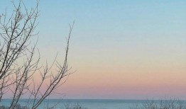 风景最新爆料视频大全,带你领略绝美风光