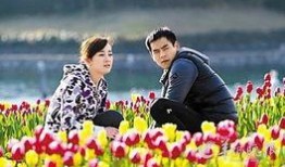 牵牛的夏天在线观看,浪漫青春的甜蜜旋律