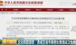 酒店新闻爆料卫生怎么写,揭秘卫生隐患背后的真相