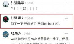 东北最新爆料消息,揭秘神秘事件背后的惊人真相