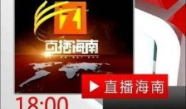 海南广播电视台爆料新闻,揭秘海南岛最新发展动态