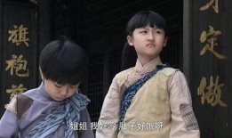 天涯赤子心电视剧全集在线观看,感人至深的亲情故事回顾