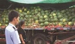 礼泉吃瓜最新事件爆料是真的吗,真相揭秘还是网络谣言？