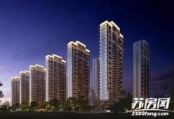 苏高新最新爆料,揭秘企业创新与发展背后的故事