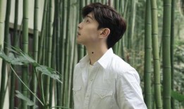 娱乐爆料社邓伦,娱乐爆料社独家揭秘，明星背后的故事