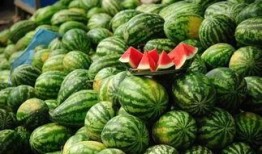 正能量网红吃瓜事件