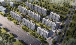 佛山金洲府爆料最新消息,揭秘神秘项目背后的真相