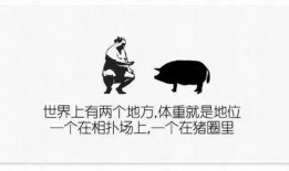 最新人文爆料文案,探寻历史与现实的交融火花
