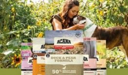 诚实一口狗粮爆料视频下载,诚实一口视频下载背后的真实故事