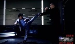 超级保镖电影在线观看,巅峰对决，守护使命