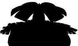 绝密大爆料视频,视频内容深度解析