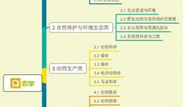 海德夫妇爆料视频大全集,揭秘娱乐圈不为人知的秘密