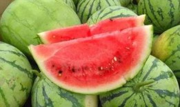 甘肃陇南网红炎阳吃瓜,陇南网红带你领略甘肃特色美食之旅