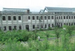 在线观看茅山学院,揭秘神秘校园的奇幻之旅