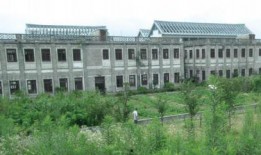 在线观看茅山学院,揭秘神秘校园的奇幻之旅
