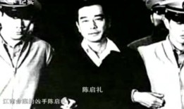 幕后杀和作者的最新爆料,揭秘真相，作者最新爆料揭示惊心动魄的悬疑世界